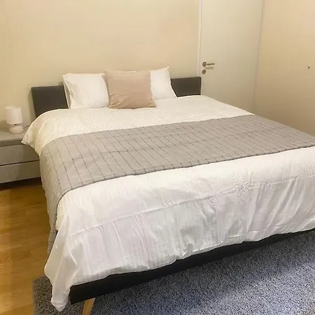 Apartment Cosy Loft In The Heart Of Zürich