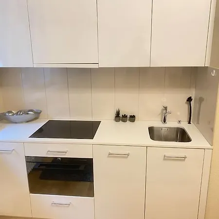 Apartment Cosy Loft In The Heart Of Zurich